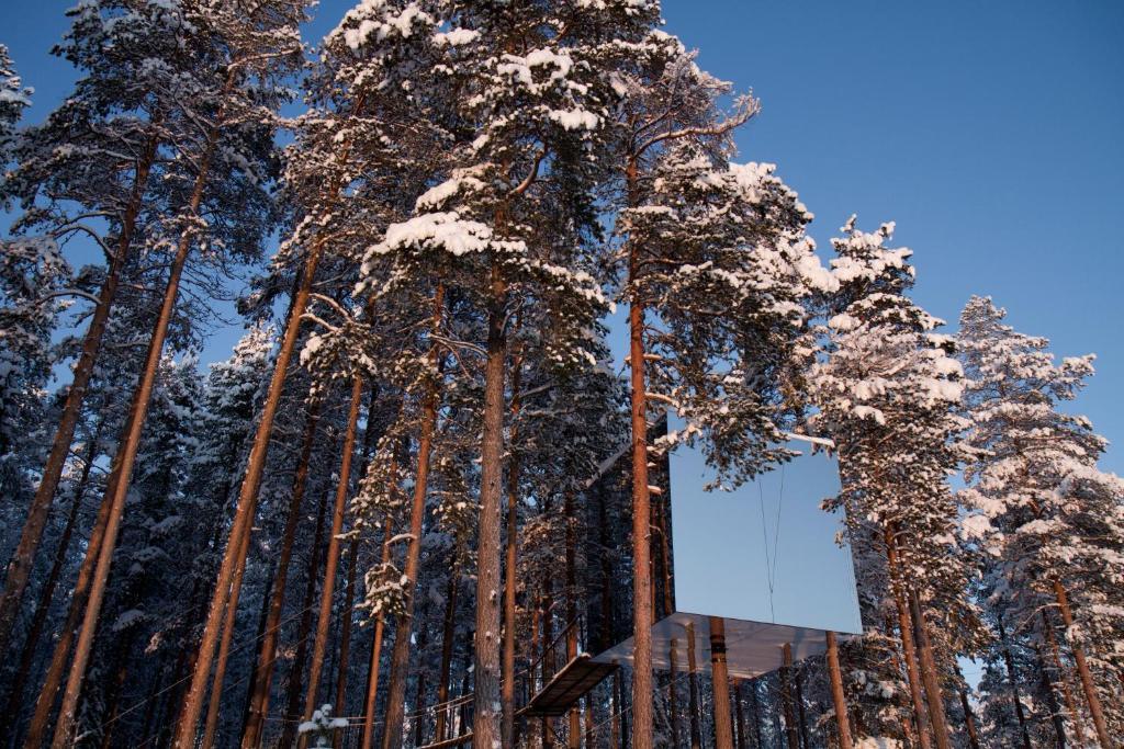 Treehotel Harads Номер фото